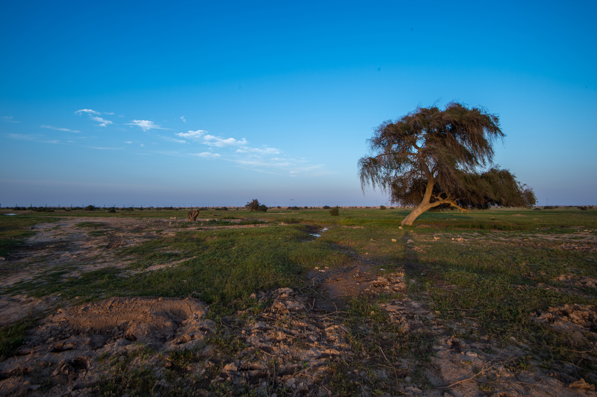 Rawda Al Ghaf Reserve